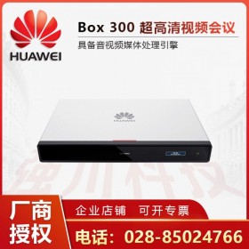 軟硬件安全可控丨國(guó)產(chǎn)視頻會(huì)議終端丨眉山市華為視訊終端總代理商丨Box丨300可選4K分辨率