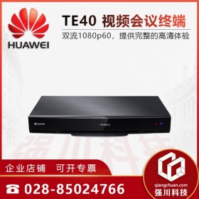 公私網穿越_華為視頻會議系統(tǒng) 視訊終端TE40/VPC600云臺攝像頭