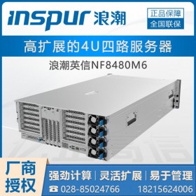 （國產(chǎn)）拉薩市浪潮服務(wù)器代理商_inspur NF8480M6/NF5466M6 大數(shù)據(jù)存儲服務(wù)器