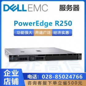 成都戴爾（DELL）服務(wù)器總代理商_PowerEdge R240升級(jí)款R250促銷(xiāo)
