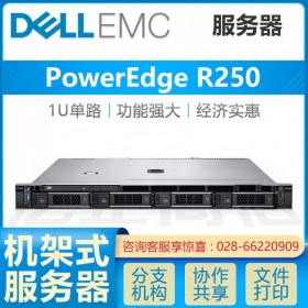 巴中戴爾服務(wù)器總代理丨DELL PowerEdge R250機架式ERP服務(wù)器