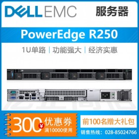德陽(yáng)戴爾服務(wù)器總代理丨DELL R250機(jī)架式服務(wù)器主機(jī) 公司財(cái)務(wù)服務(wù)器