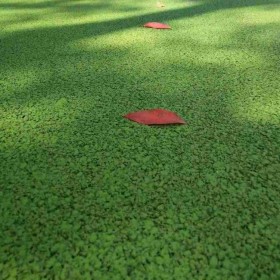 武漢市 透水混凝土 透水混凝土廠家 園林景觀、學(xué)校操場地坪 口碑推薦