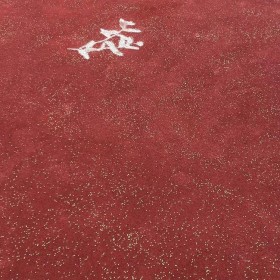 瀘州市50厚彩色混凝土 透水地坪粘接料廠家 透水砼顏色料 透水地坪粘接膠 透水地坪報價 批發(fā)價格
