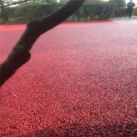 云南透水混凝土增強劑 c20透水混凝土 彩色透水砼膠粉廠家 免費輔導(dǎo)