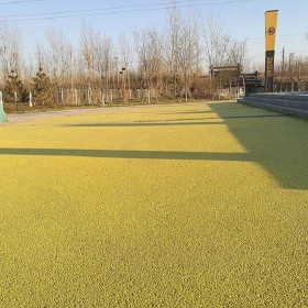 彩色混凝土顆粒 操場(chǎng)彩色混凝土 露骨地坪 報(bào)價(jià)清單