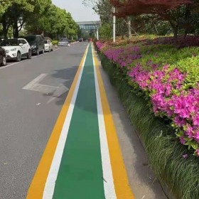 c30彩色透水混凝土 園林道路彩色混凝土 操場(chǎng)彩色混凝土