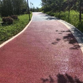 彩色透水混凝土 5cm透水砼 生態(tài)透水混凝土材料廠家 透水混凝土粘接劑 免費(fèi)送貨到工地