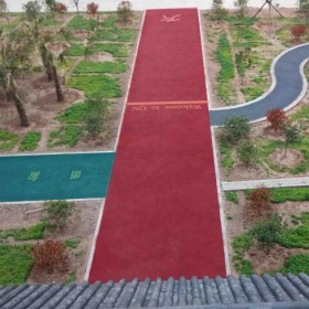 透水露骨混凝土 透水混凝土粘結(jié)劑推薦廠家 適用于園林景觀、市政建設(shè)等